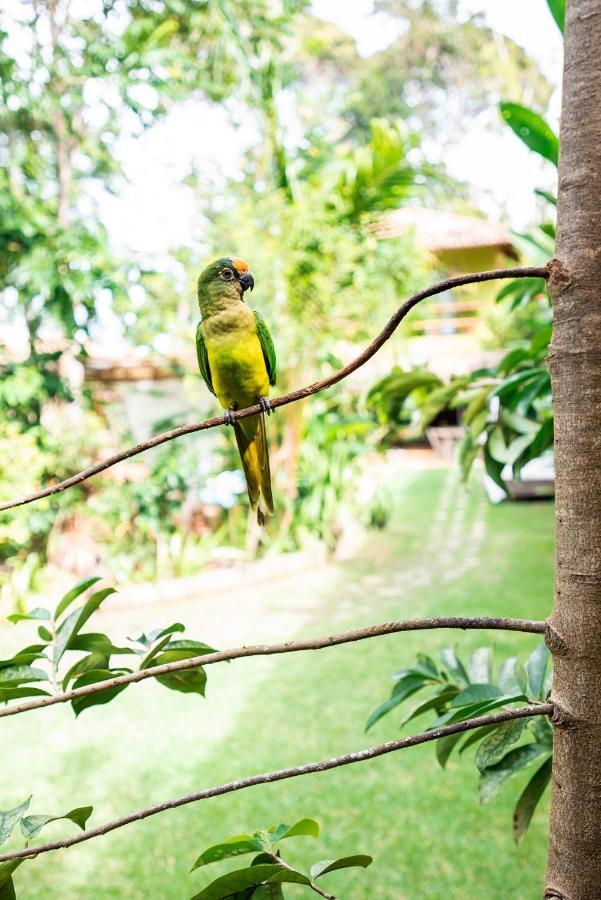 Pousada Casa Das Janas Trancoso Buitenkant foto